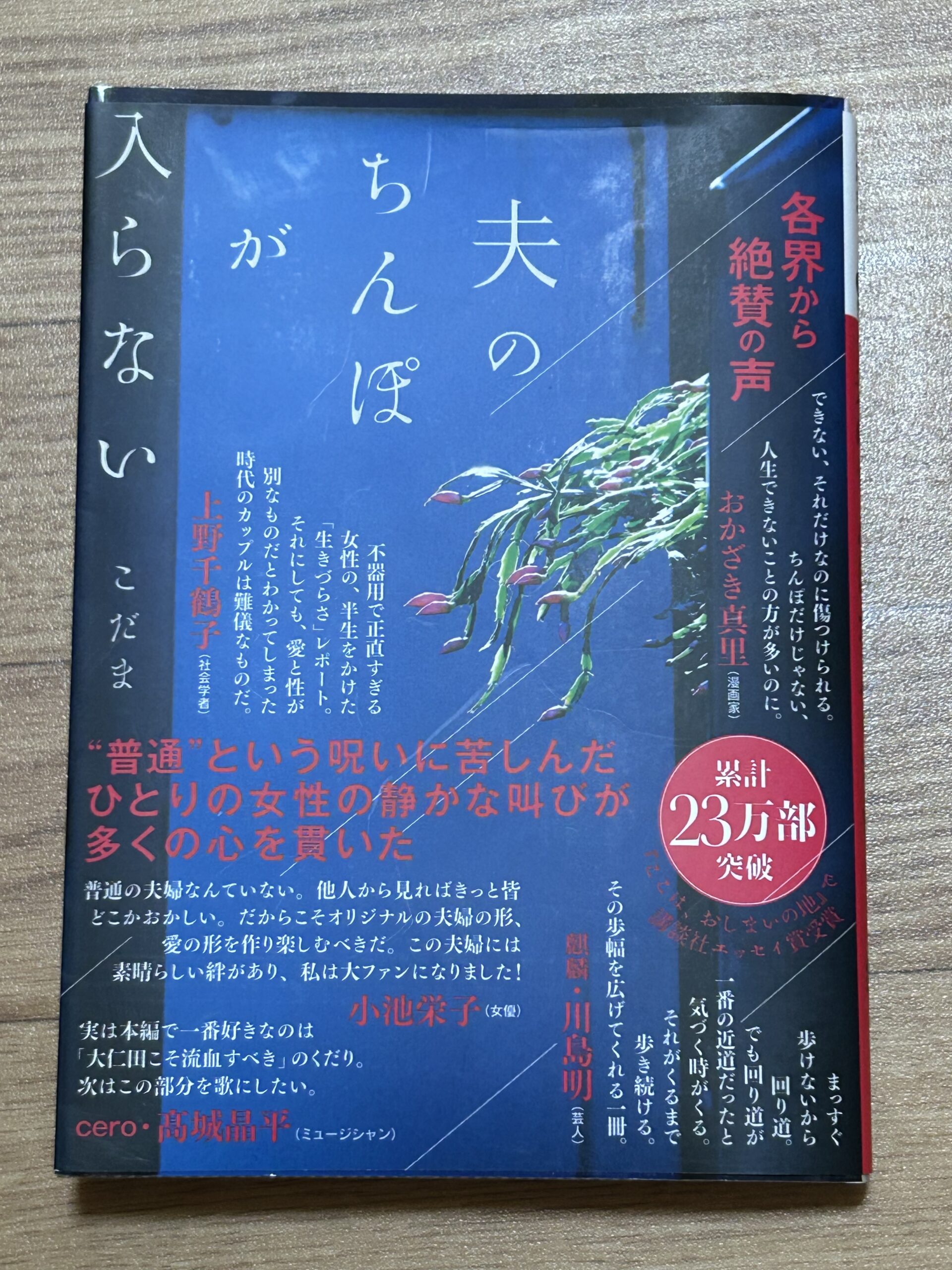 【読書感想文】こだま「夫のちんぽが入らない」